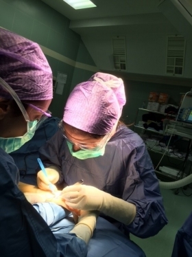 Chirurgo specializzato in Chirurgia della Mano - Dott.ssa Antonia Russomando